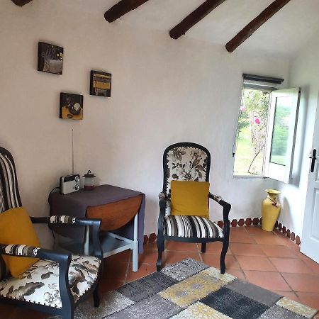 Le Clos D'Almide Monestier  Bagian luar foto