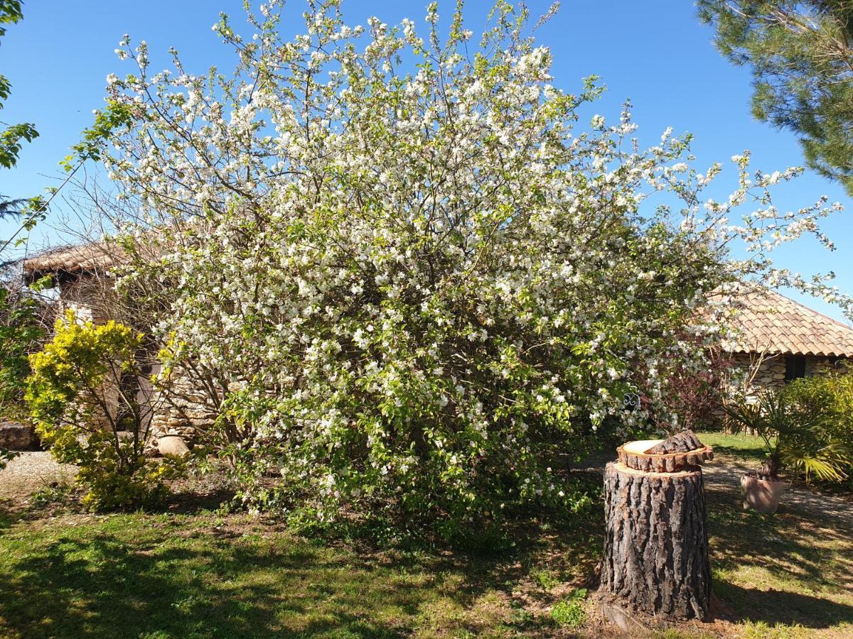 Le Clos D'Almide Monestier  Bagian luar foto
