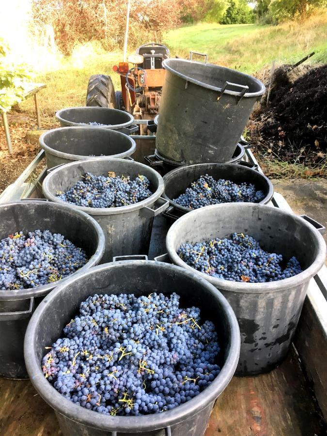Le Clos D'Almide Monestier  Bagian luar foto