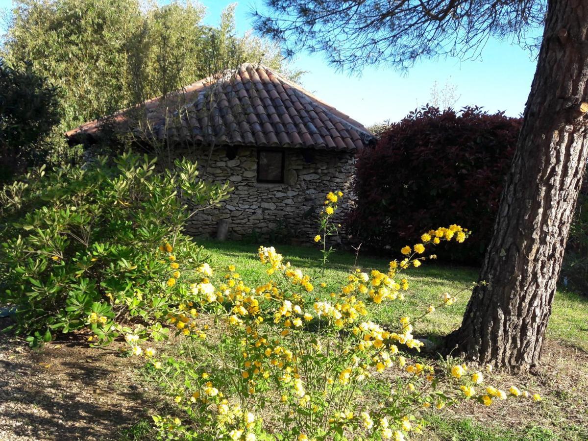 Le Clos D'Almide Monestier  Bagian luar foto