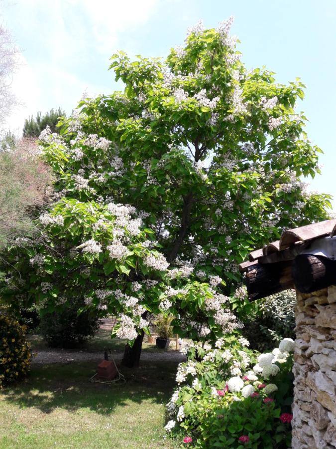 Le Clos D'Almide Monestier  Bagian luar foto